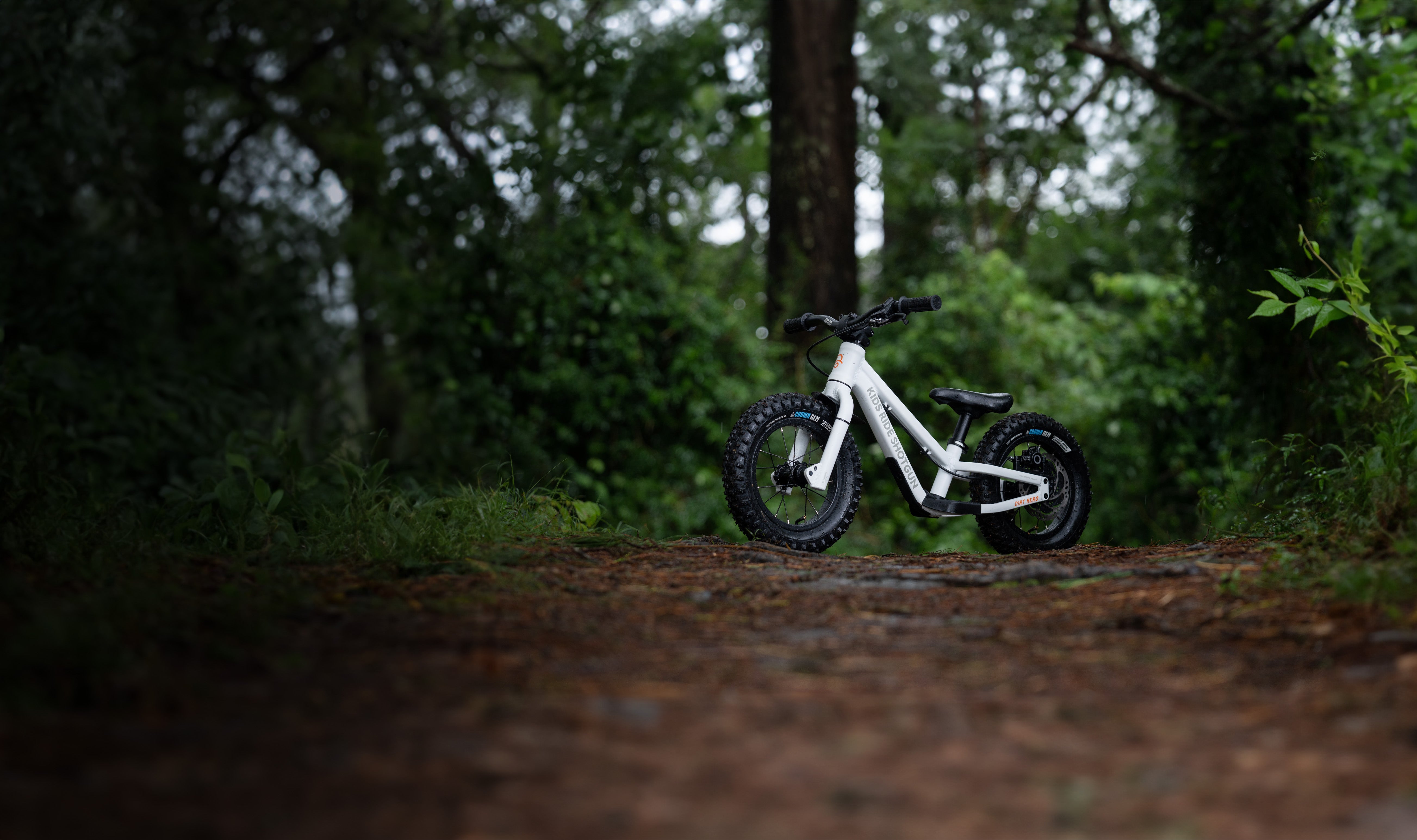 Shotgun: The Frame Mounted Kids Mountain Bike Seat for Children